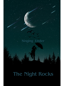 Sanders Picture Art - The Night Rocks